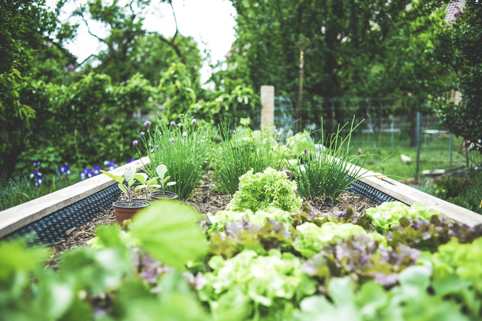 Onderhoud aan groen in de tuin